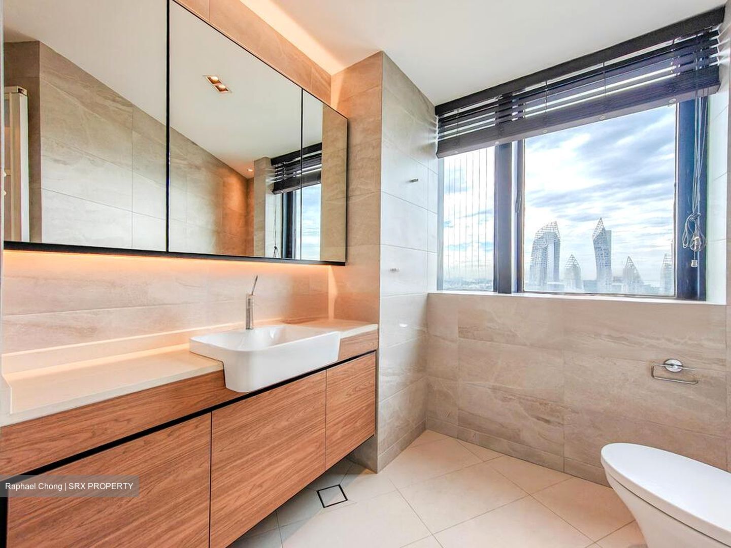 Harbour View Towers (D4), Condominium #497713591